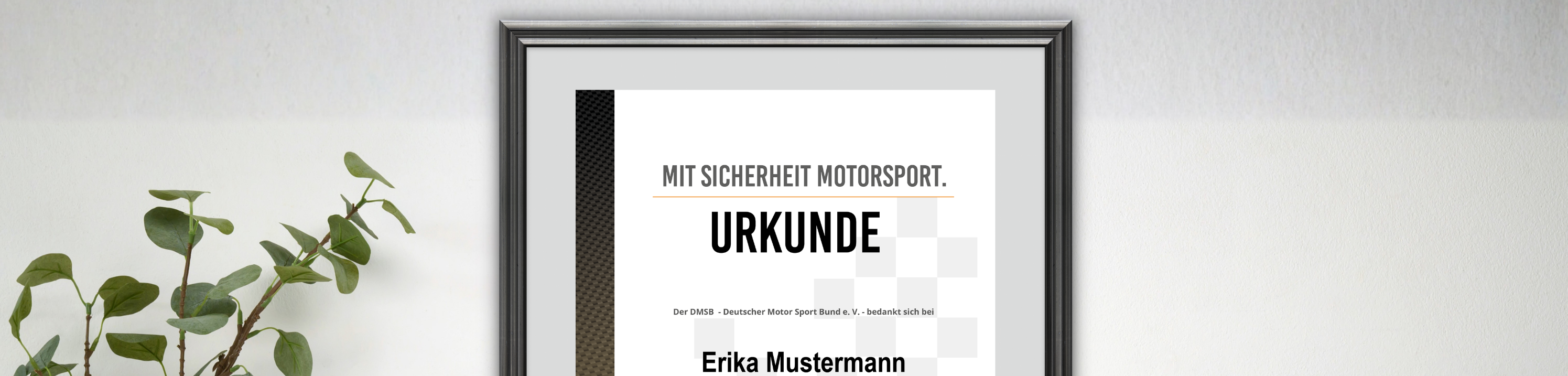 DMSB-Ehrenurkunde 2026 DMSB-Ehrenurkunde 2026